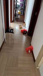 rafflesia-condominium photo thumbnail #10
